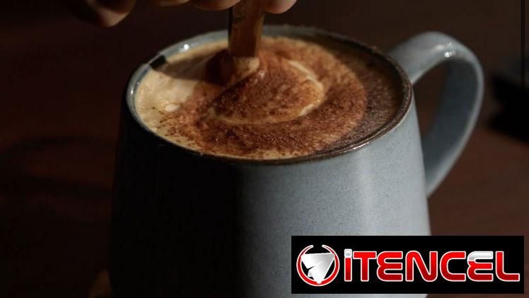 Proteína de capuccino Prozis (400g)