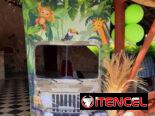 Fiesta de cumpleaños con Somarriba