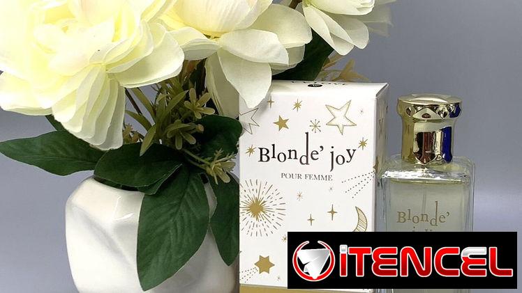 🥰 Perfumes árabes V.VLOVE 100ml