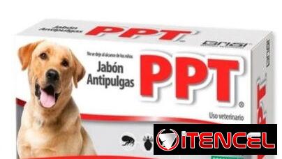 JABÓN 100 GR + SPRAY 250 ML PPT ANTIPULGAS