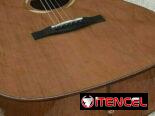 Acoustic Guitar New model Solid Cedar Top, (Canadian brand)