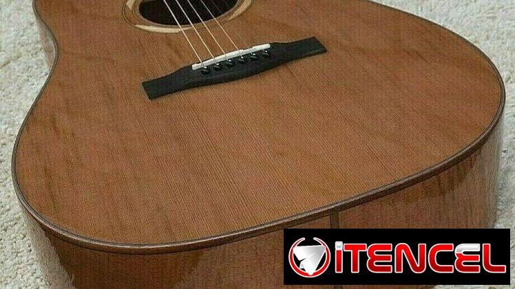 Acoustic Guitar New model Solid Cedar Top, (Canadian brand)