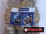 Langosta