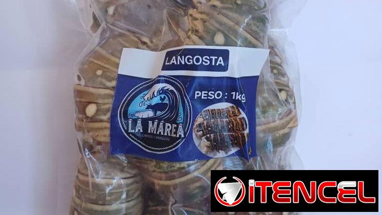 Langosta