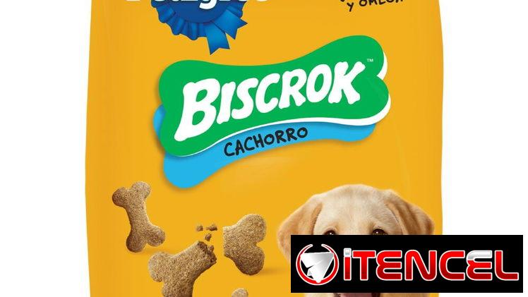 Premios para cachorros