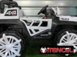Carrito electrico para niños