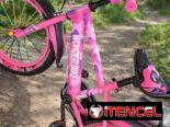 BICICLETA MODELO BM #16 (clc)
