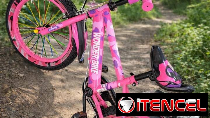 BICICLETA MODELO BM #16 (clc)