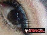 Estudio de Belleza Mels Madus Brows and Lashes (52 /27 y 29) Playa