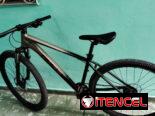 Vendo bicicleta rali rio 2.0