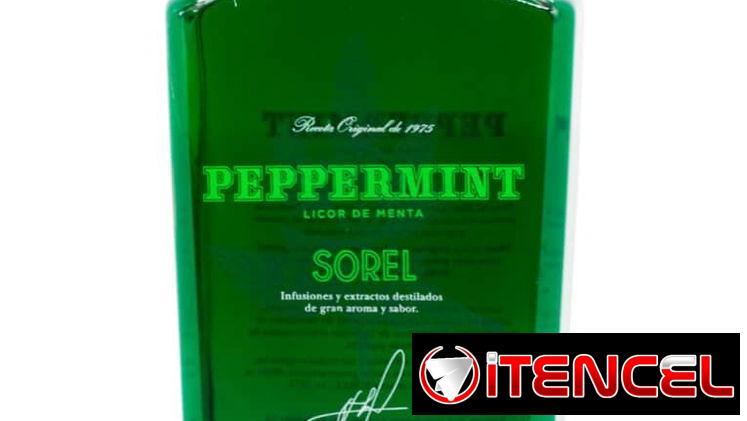 Licor de Menta Sorel (con alcohol) y muchas más