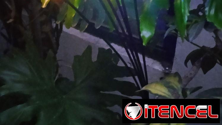 Lámparas recargables solares de jardin