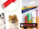 Set Dental