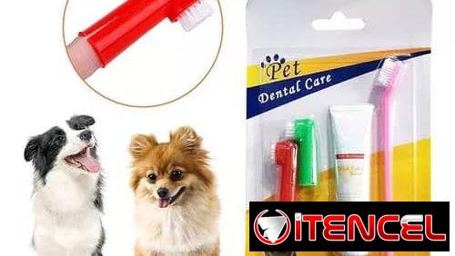 Set Dental