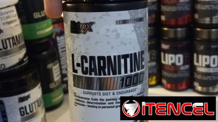 L carnitina en CapSula