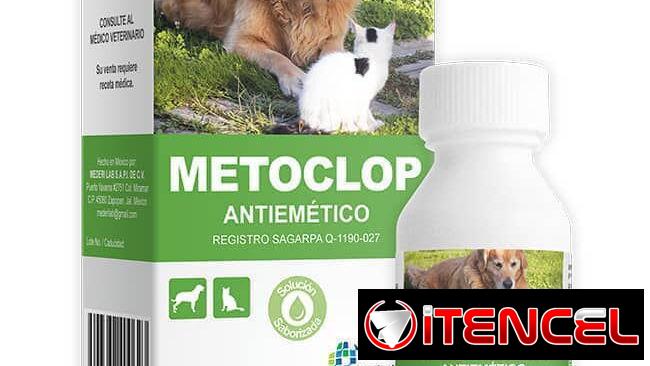 Metoclopramida para Perros y Gatos