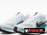 Zapatos de running Nike Pegasus #37.5