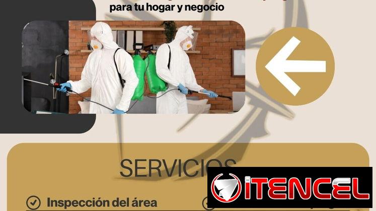 Servicio de Fumigación contra Plagas de insectos.