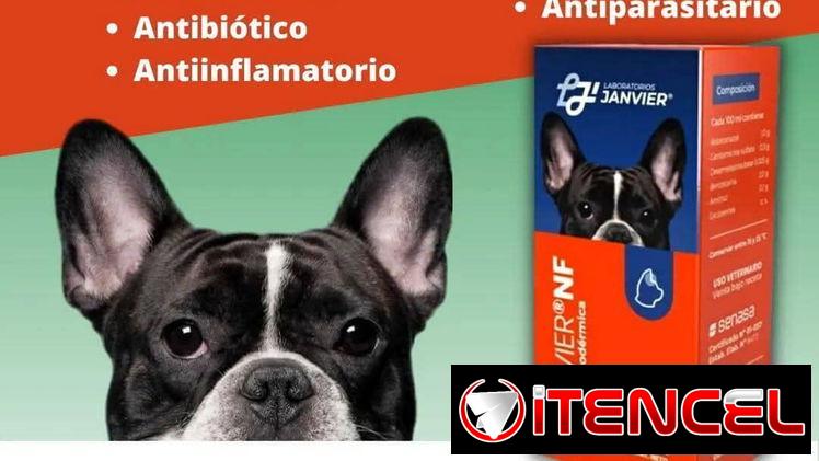 Otovier etipets otisan otiko ocusol