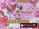 Set decorativo 100 pcs Minnie M33,(TPEx)