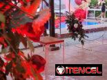 PEDIDAS DE MANO/ PROPIESTA DE MATRIMONIO. DECORACIÓN