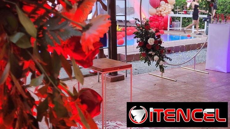 PEDIDAS DE MANO/ PROPIESTA DE MATRIMONIO. DECORACIÓN