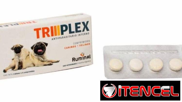 Tiplex