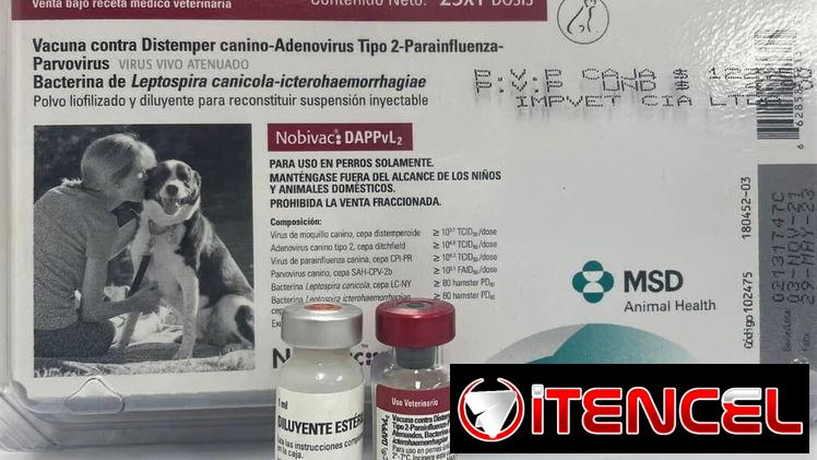 Pentavalente