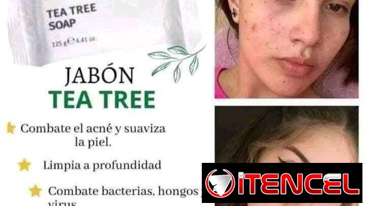 🍃 JABÓN TEA TREE FARMASI (ORGÁNICO) – CONTROL ACNÉ Y GRASA 🍃