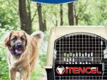 Huacal rígido certificado por IATA para perros 0 Km.Grande Playa  -Tamaño: Razas Grandes ( labrador, Huacal pastor, Husk
