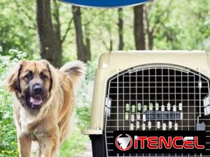 5a12e4f7a10430886fca306f21ec112f1b66a88512dabf60f53bef2e7f797b2e
