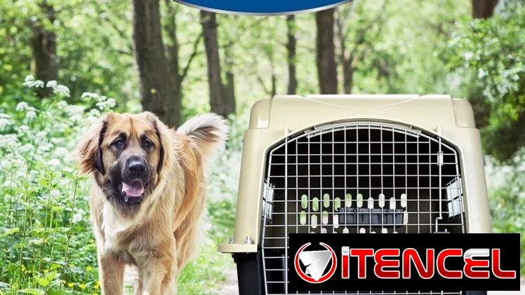 Huacal rígido certificado por IATA para perros 0 Km.Grande Playa  -Tamaño: Razas Grandes ( labrador, Huacal pastor, Husk