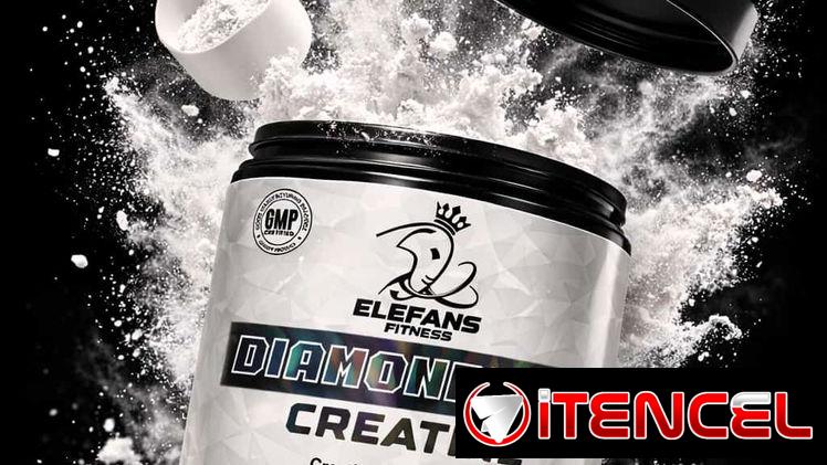 CREATINA MONOHIDRATADA + ELECTROLYTES DIAMONDHIDE (ELEFANS FITNESS) 300gr-60serv