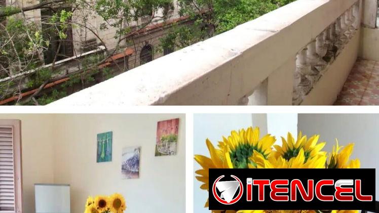 🏡Cod.Z Renta de apartamento  en La Habana Vieja  🔑