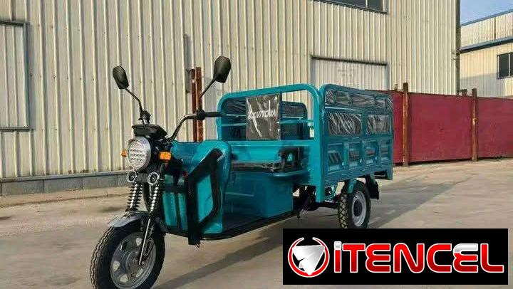 Triciculo electrico kivitoa