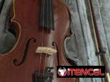 Se vende Viola