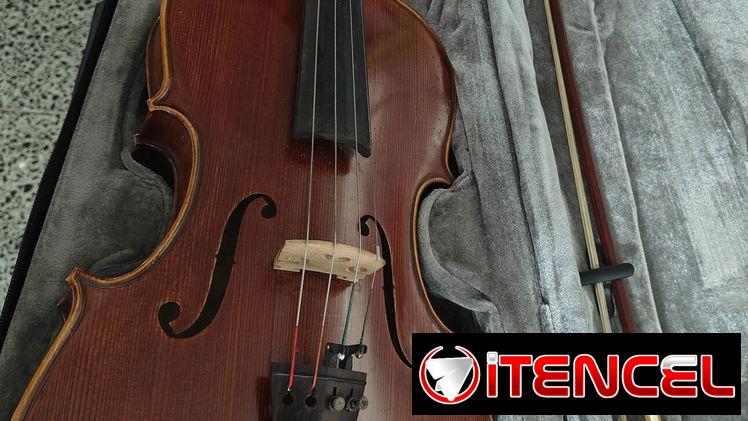Se vende Viola