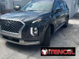 Vendo o negocio yhunday palisade  calligraphy del 2022 nuevo de paquete em carro sin Defecto