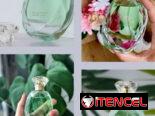 Hera perfume olor a Diosa EAU de Parfume FARMASI