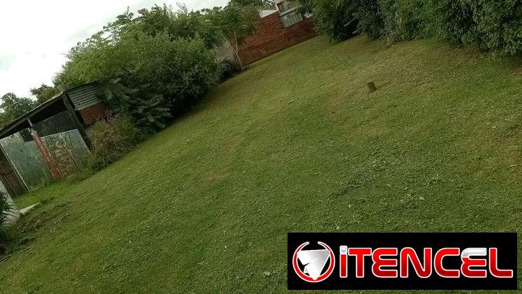 Servicios de Jardinería y Limpieza de exteriores (trabajamos en la mayoría de los municipios)