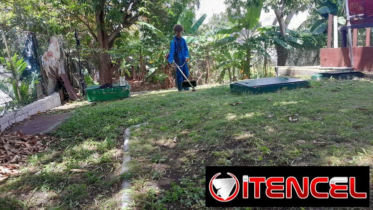 jardinería servicios, diseños y mantenimientos