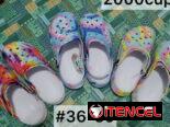 Chancletas y zapatos