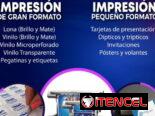 Equipo de diseño gráfico Vector studio 💙
