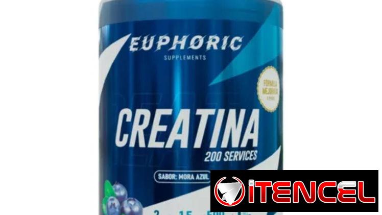 Creatina en polvo 200 servigs