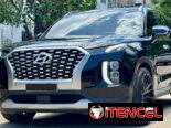 Hiunday PALISADE  LIMITED 2022