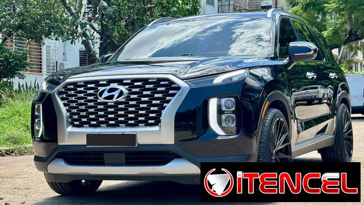 Hiunday PALISADE  LIMITED 2022