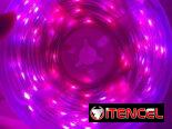Luces led de 10 metros