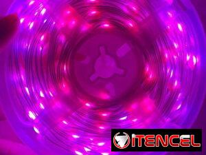 5cf148ded2930bd38dcc44639366f97a09eb6815bb079c04a1db61e3ab94f42d