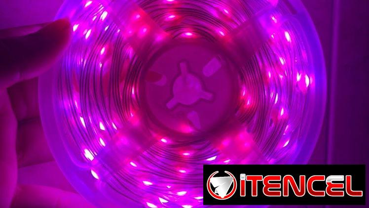 Luces led de 10 metros