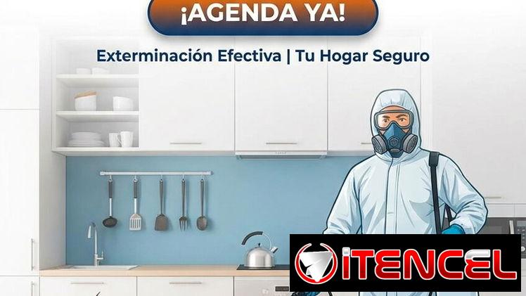 Fumigador